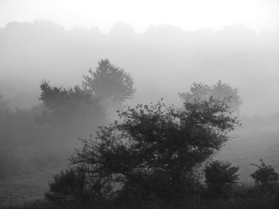 Oliver Schlick Préchac-sur-Adour